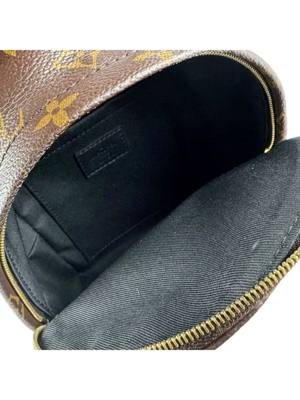 Louis Vuitton Backpack Palm Springs Mini